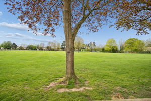 Photo 25- click for photo gallery